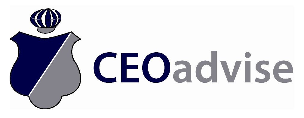 CEO advise GmbH Logo