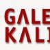 Galerie Kalina Logo