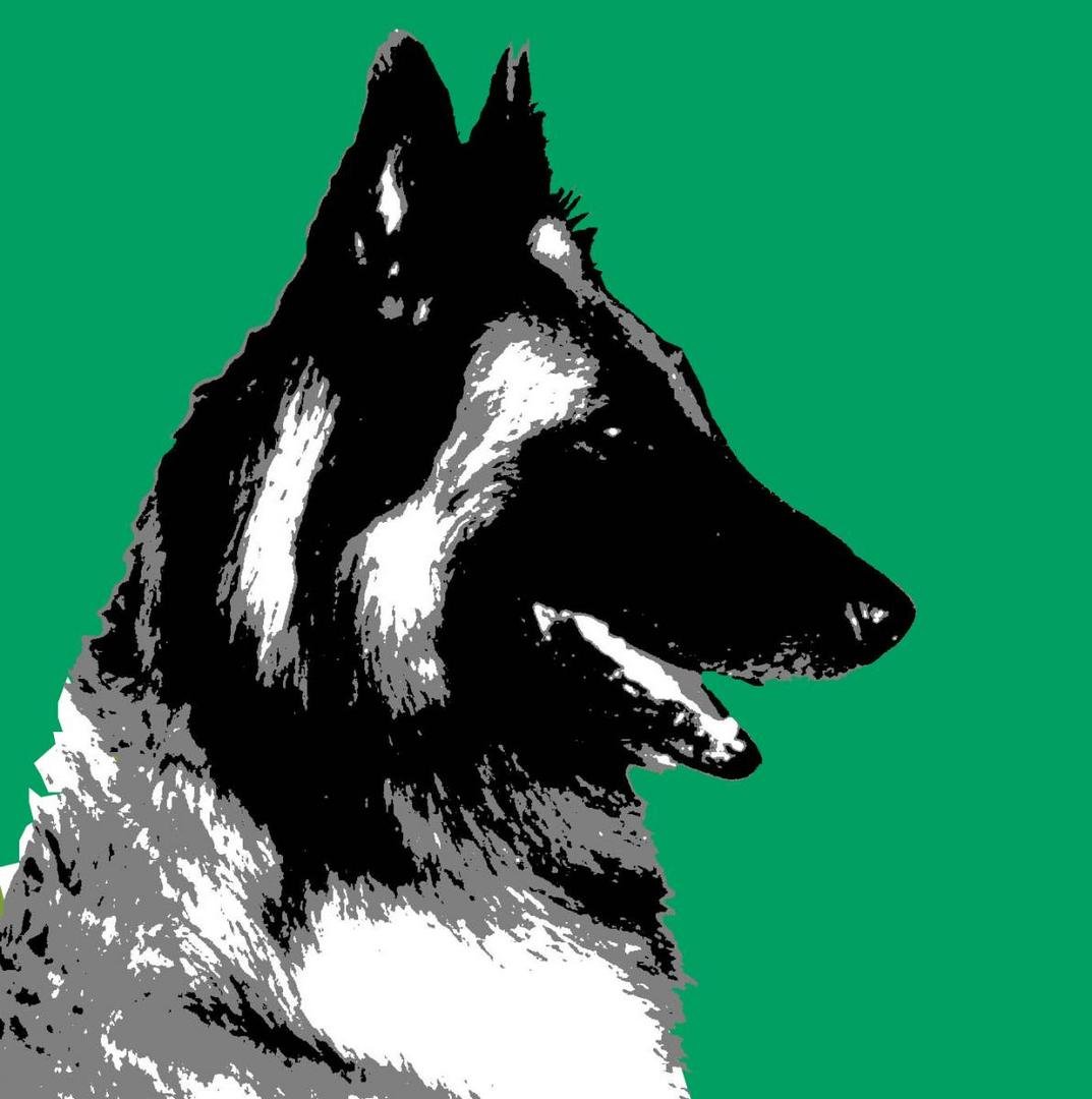Hundeschule Reinjas Hundezentrum Logo