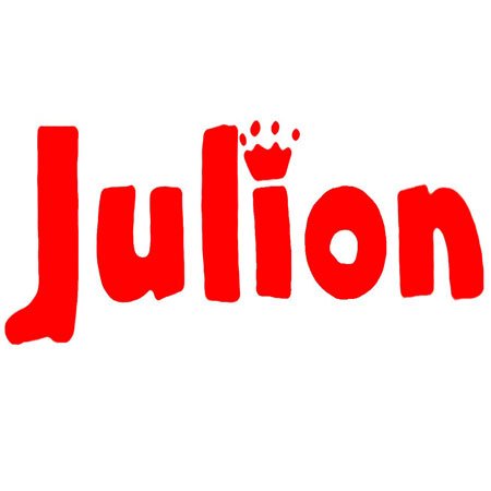 Julion E-Multi-Store Logo