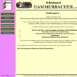 hans-hammerbacher