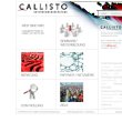 callisto-unternehmensberatung