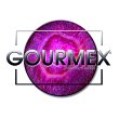 michael-gross---gourmex