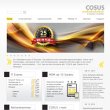 cosus-computersysteme-u-software-gmbh