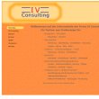iv-consulting-fluegel