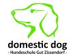 domestic-dog---hundeschule-gut-zissendorf
