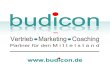 budicon