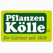 pflanzen-koelle-gartencenter-gmbh-co-kg-berlin---dallgow-doeberitz