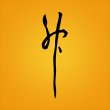 shen-zentrum-fuer-traditionelle-chinesische-medizin