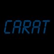 carat-gesellschaft-fuer-organisation-und-softwareentwicklung-mbh