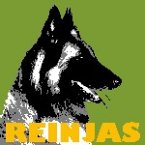 reinjas-hundeschule