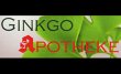 ginkgo-apotheke