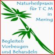 naturheilpraxis-fuer-tcm