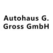 autohaus-g-gross-gmbh