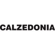 calzedonia