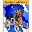 familienhund-bavaria