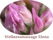 wellness-massagestudio-elena