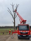 forstliche-ausbildung-rhoen-wolfgang-handwerk