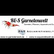 r-s-garnelenwelt-r-s-aquaristikwelt-online-shop