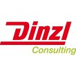 dinzl-consulting