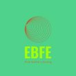 ebfe-energieberatung-dipl-ing-frank-ehlers