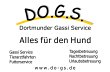 do-g-s-dortmunder-gassi-service