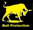 bull-protection-security-detektei