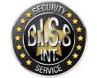 d-i-s-s-int-security-service
