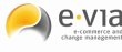 e-via-e-commerce-and-change-management