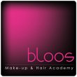 bloos-make-up-hair-academy