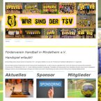 foerderverein-handball-in-mindelheim-e-v