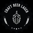 craft-beer-lager