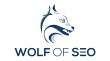 wolf-of-seo---onlinemarketing