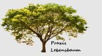 praxis-lebensbaum