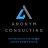 anonym-consulting