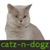 catz-n-dogz Logo