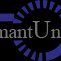 Diamant Union GmbH Werkzeuge und Maschinen-Marketing Logo