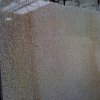 Granitplatte Padang Yello poliert am Lager