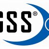 GSS Global Security GmbH Logo