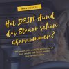 http://www.menschundhundzentrum.de/cms/news/103/66/Hat-DEIN-Hund-das-Steuer-schon-uebernommen.html