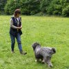 Hundetraining und Hundeerziehung in Einzelstunden in der Hundeschule Hundherum Bonn