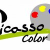 Picasso Color Logo