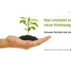 social-consulting-gmbh