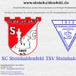 schachclub-steinhaldenfeld-ev