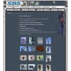 sbs-sicherheitstechnik-gmbh