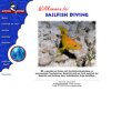 tauchschule-sailfish-diving