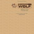 werkstatt-wolf-grafik-layout-typografie