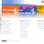 adelmann-elektro-service-verwaltungs-gmbh