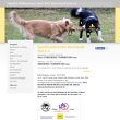 sporthundeverein-darmstadt-sued