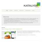 katalyse-institut-fuer-angewandte-umweltforschung-e-v-umweltberatung